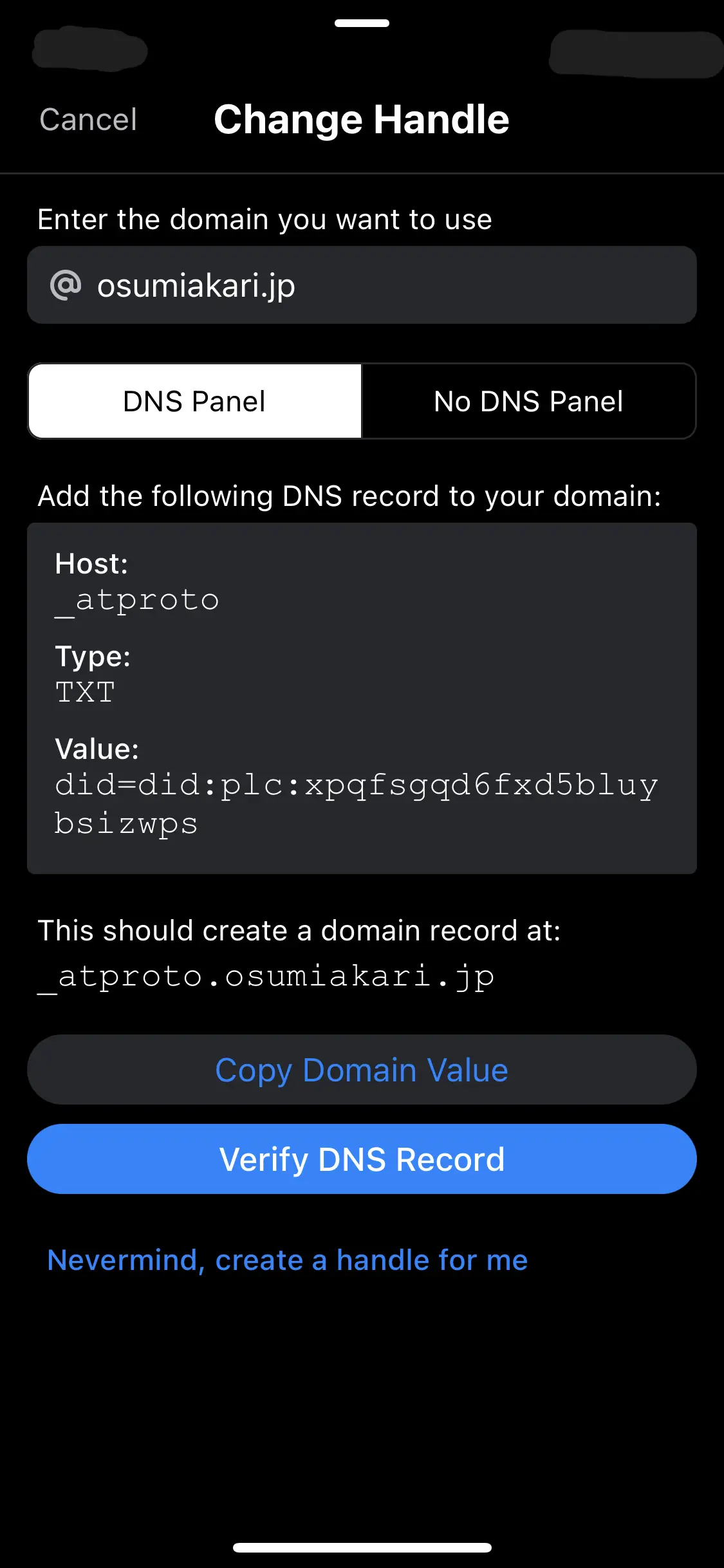 DNSレコード取得画面