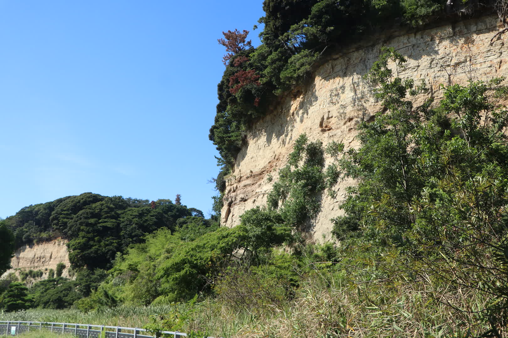 本牧の露頭