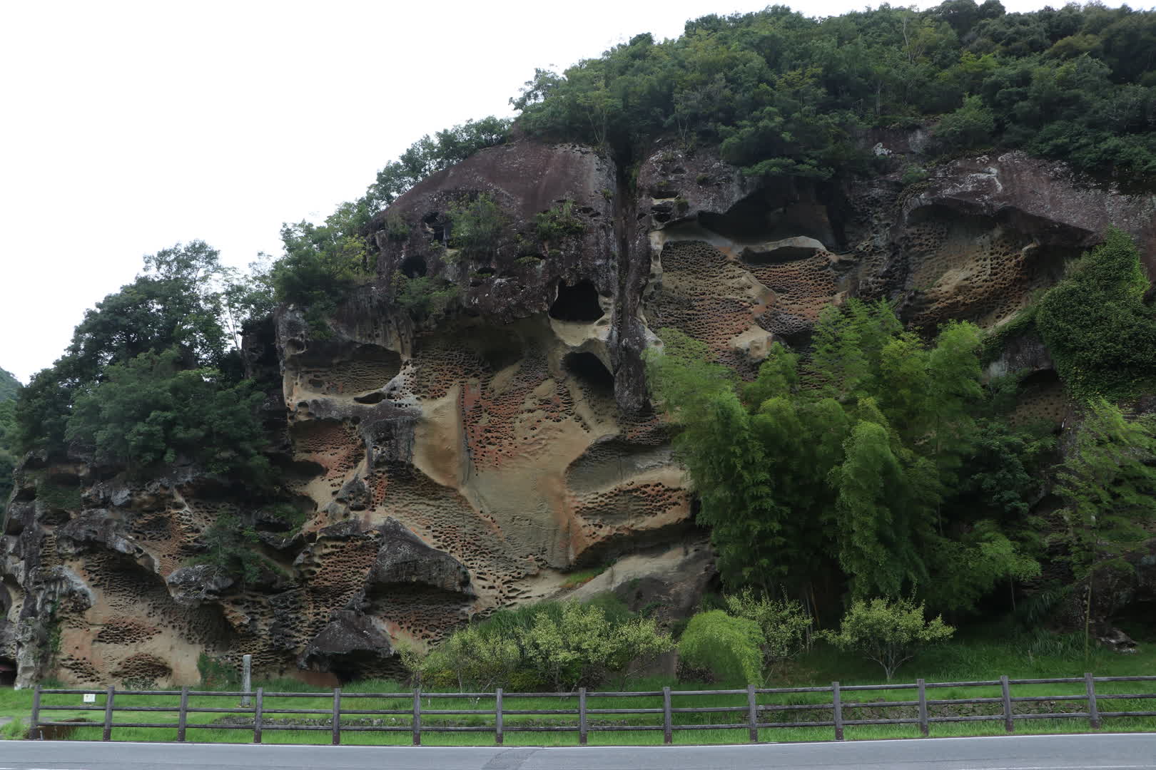 虫喰岩のタフォニ